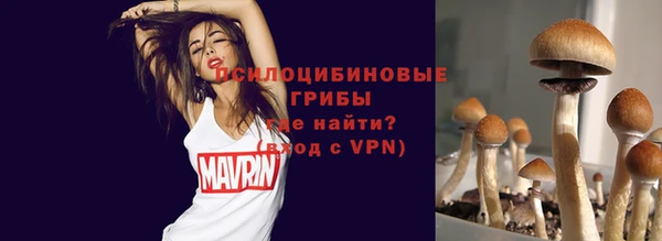 дмт Абаза