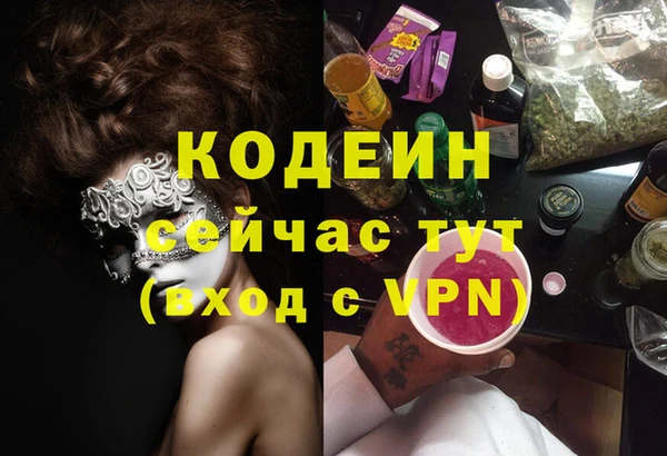 дмт Абаза