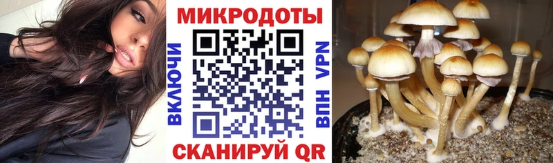 как найти закладки  Суоярви  Галлюциногенные грибы ЛСД 